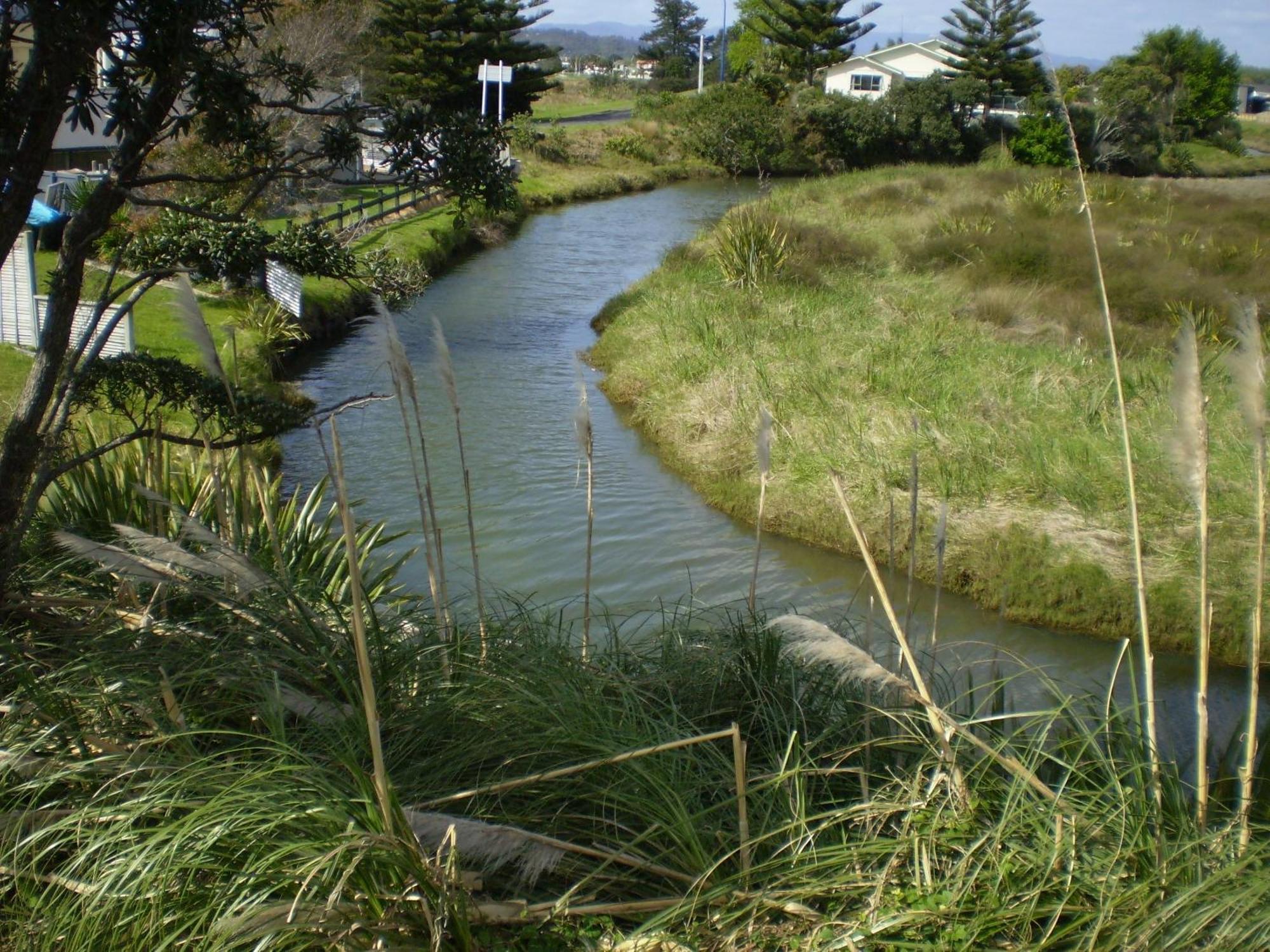 Whitianga Campground Экстерьер фото