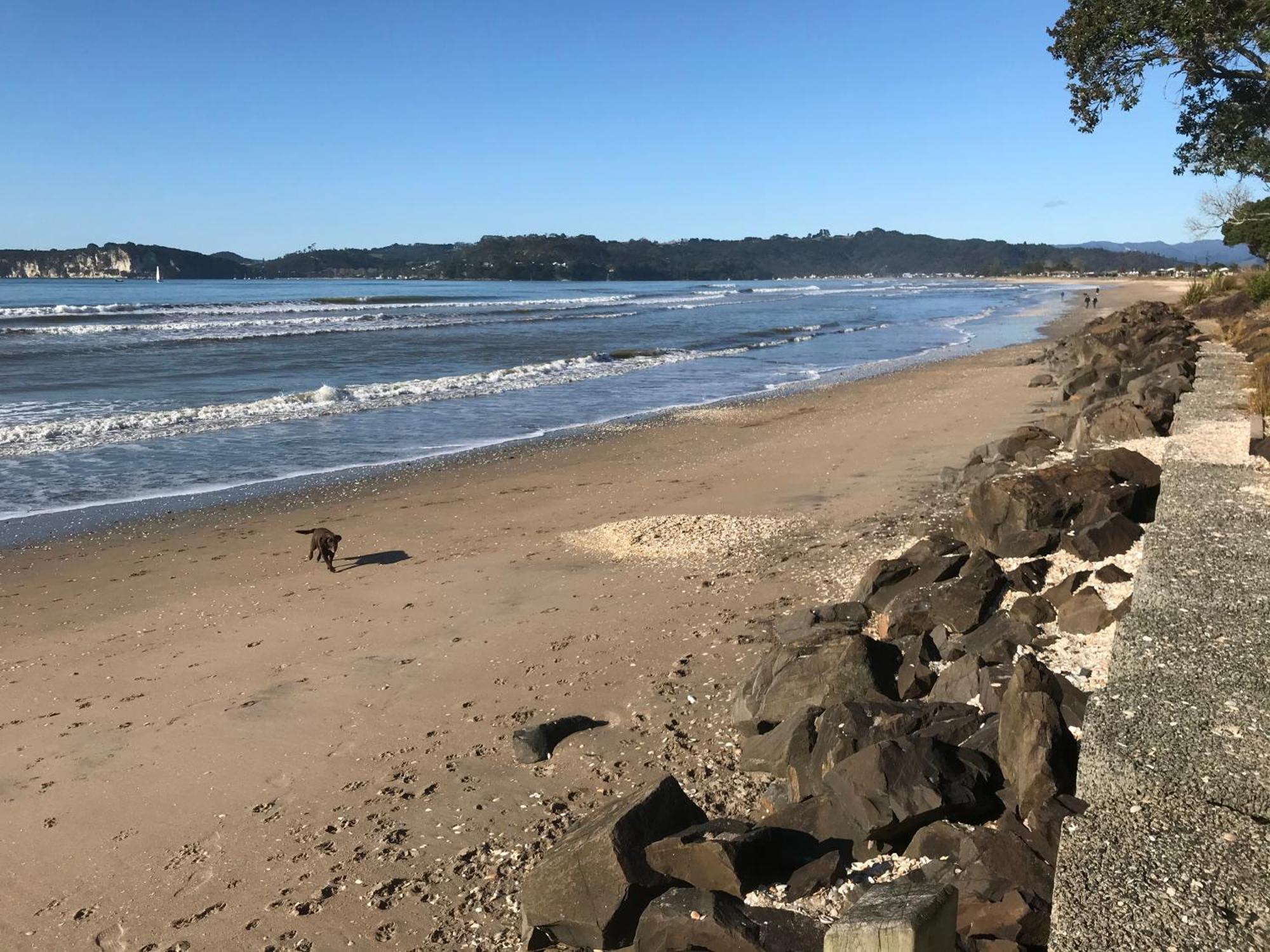 Whitianga Campground Экстерьер фото